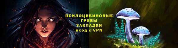 дживик Краснослободск
