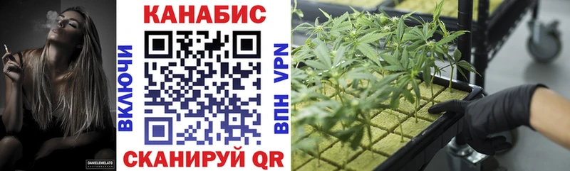 Купить  Усолье  Бошки Шишки VHQ 